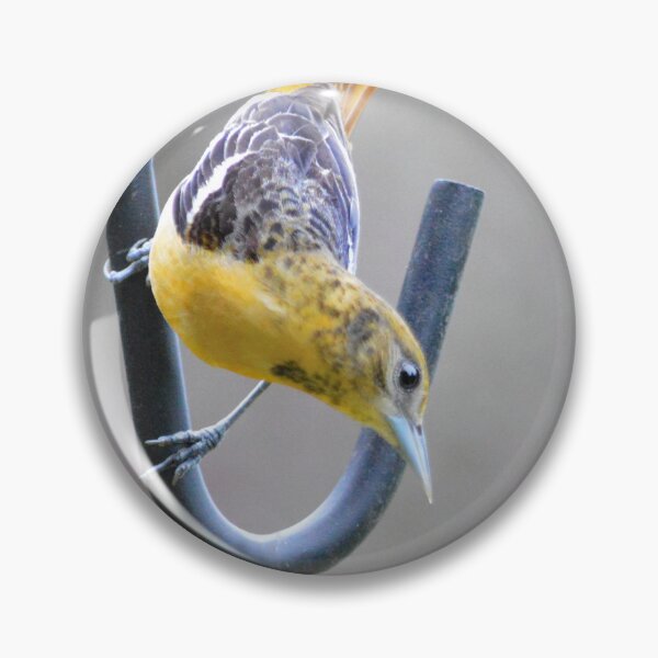 Item preview, "Where's the feeder?" designed and sold by Laurie Minor.