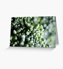 Crunchy Greeting Card
