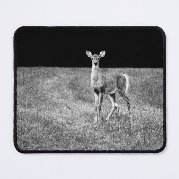 Item preview, Fawn designed and sold by Laurie Minor.