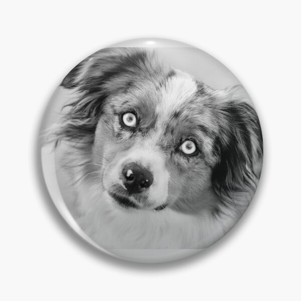 Item preview, Pup's Soulful Expression designed and sold by Laurie Minor.