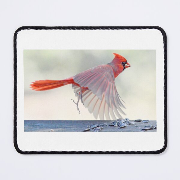 Item preview, Up & Away designed and sold by Laurie Minor.