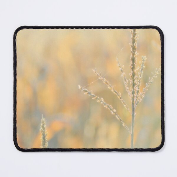 Item preview, Autumn begins designed and sold by Laurie Minor.