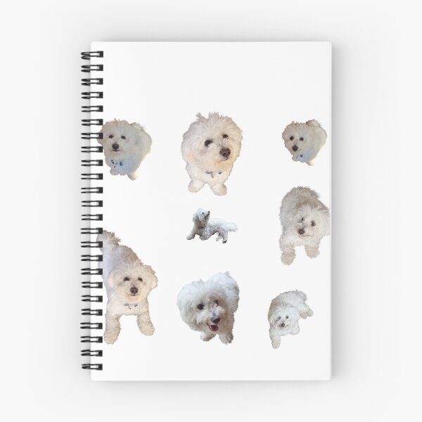 Item preview, Collection of white Bichon Frise  lifelike dog designed and sold by Debsgiftware Ward.
