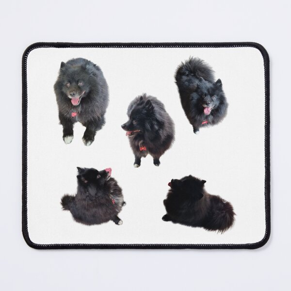 Item preview, Collection of German Spitz  lifelike dog designed and sold by Debsgiftware Ward.