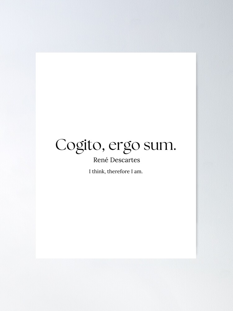 Lego ergo sum translation new arrivals