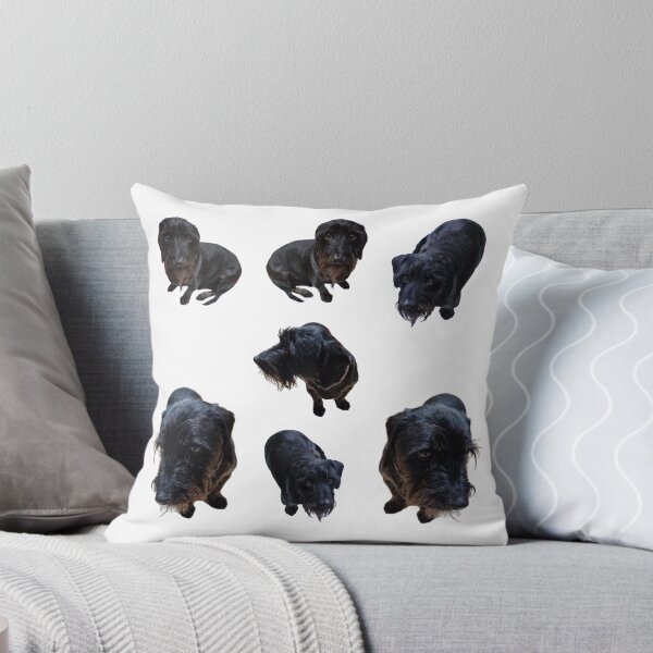 Item preview, Collection of wire haired Dachshund lifelike dog designed and sold by Debsgiftware Ward.