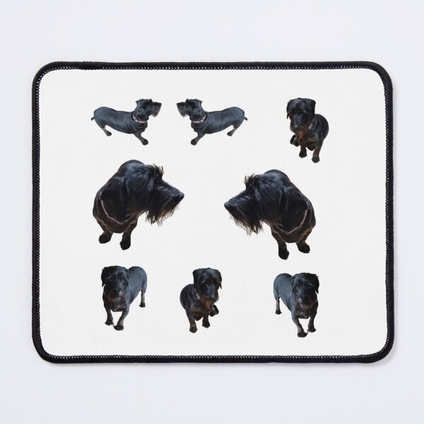 Item preview, Collection of wire haired Dachshund  number 2  lifelike dog designed and sold by Debsgiftware .
