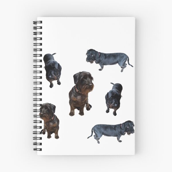 Item preview, Collection of wire haired Dachshund  number 3 lifelike dog designed and sold by Debsgiftware Ward.