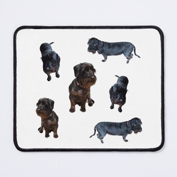 Item preview, Collection of wire haired Dachshund number 3 lifelike dog designed and sold by Debsgiftware Ward.