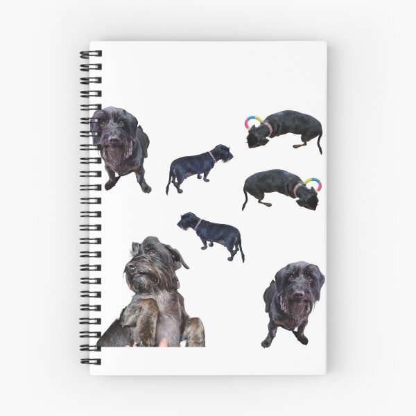 Item preview, Collection of wire haired Dachshund  number 4 lifelike dog designed and sold by Debsgiftware Ward.