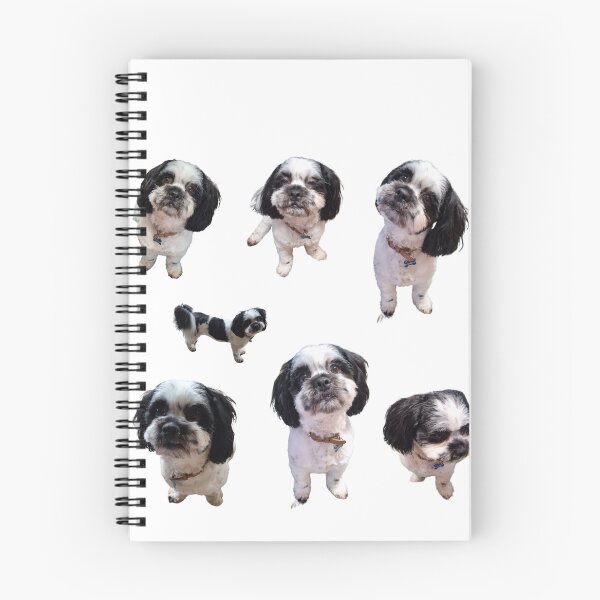 Item preview, Collection of shihtzu x poodle lifelike dog  designed and sold by Debsgiftware Ward.