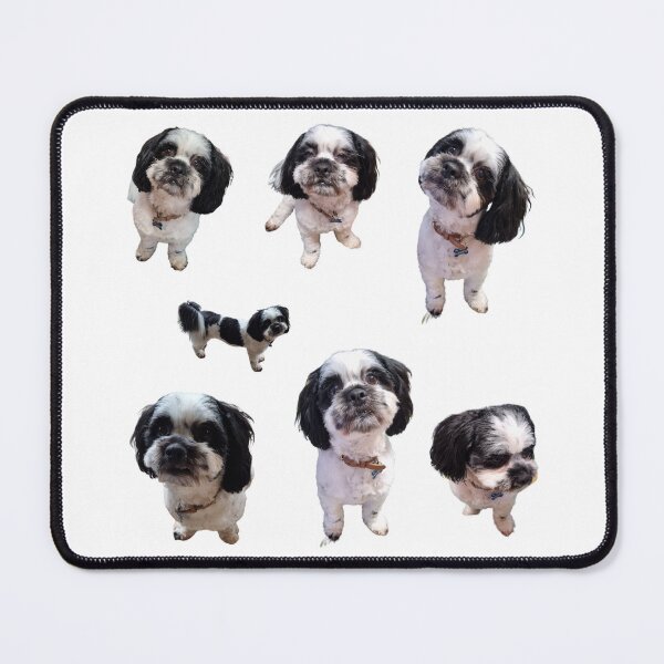 Item preview, Collection of shihtzu x poodle lifelike dog designed and sold by Debsgiftware Ward.