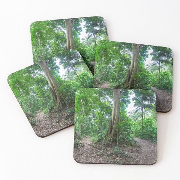 Item preview, Tropical Rainforest Landscape and trail designed and sold by Piccaya.
