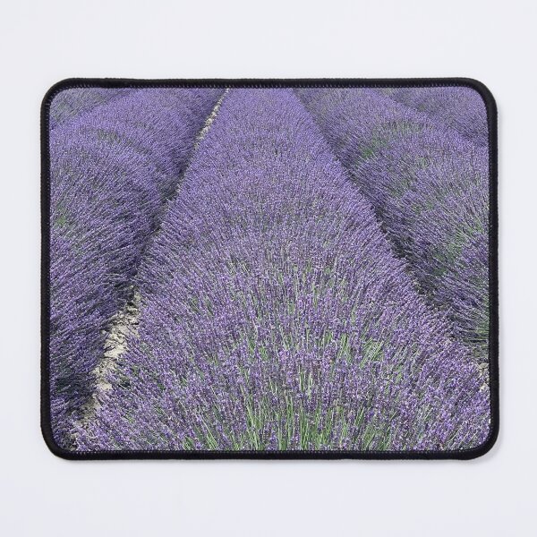 Item preview, Field of lavender on the edge of the Camargue designed and sold by Eric Nagel.