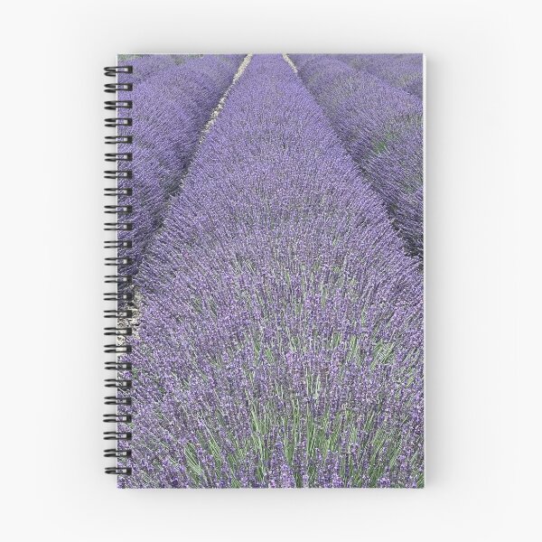 Item preview, Field of lavender on the edge of the Camargue designed and sold by Eric Nagel.