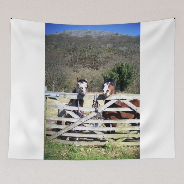 Item preview, Ponies at Nant-Y-Coed designed and sold by Michael Haslam.