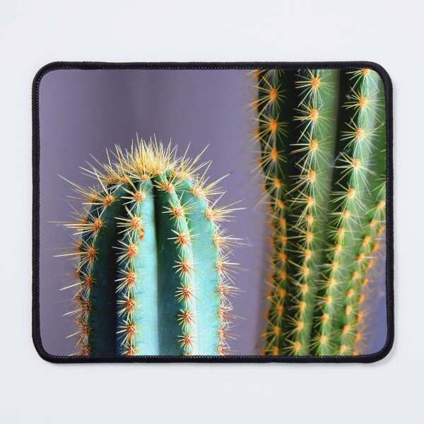 Item preview, Cactus Photo in front of Purple Wall  designed and sold by Dilyana Rumenova - Shantabella.