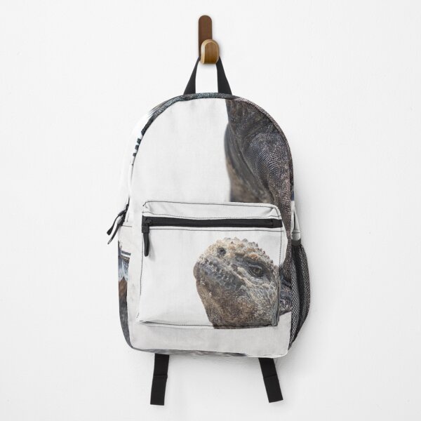 Item preview, Marine iguana in the Galapagos islands designed and sold by Piccaya.