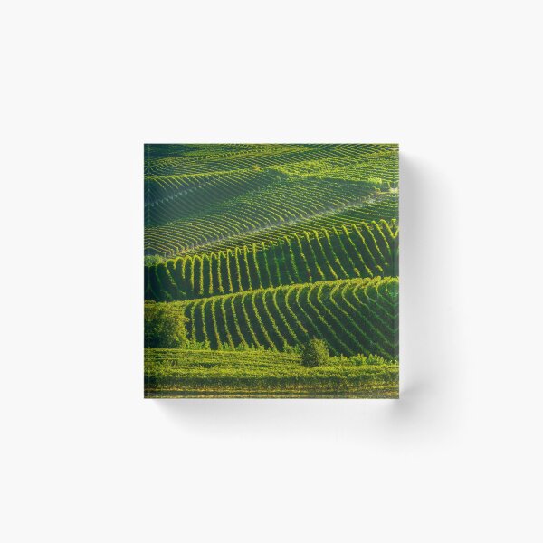 Item preview, Langhe vineyards abstract. Piedmont, Italy designed and sold by Stefano Orazzini.