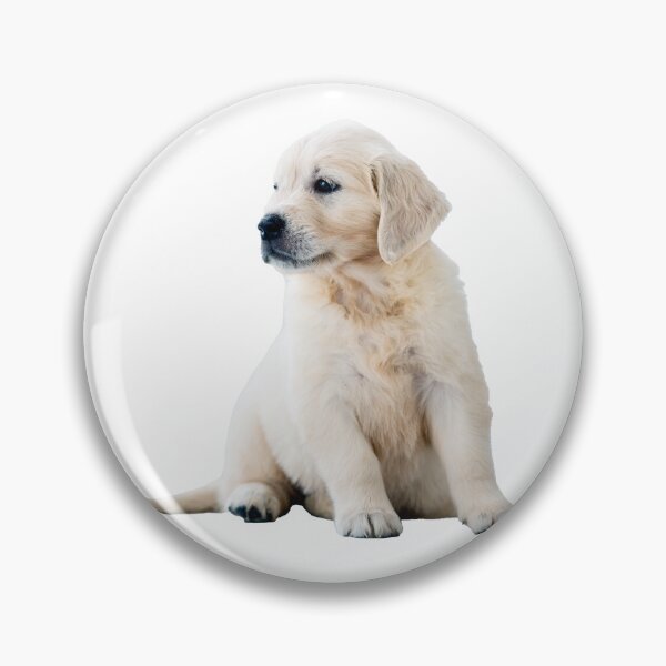 Artikelvorschau, Junger Retriever-Hund entworfen und verkauft von KGSPhotoArt.