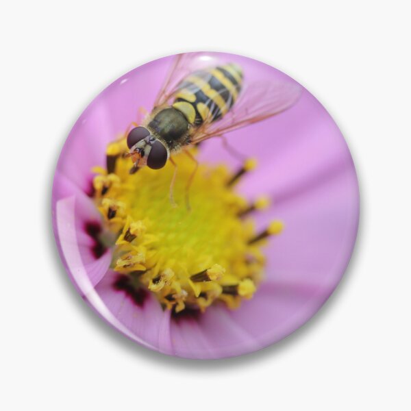 Item preview, Hoverfly on Cosmos designed and sold by ASTRID EWING.