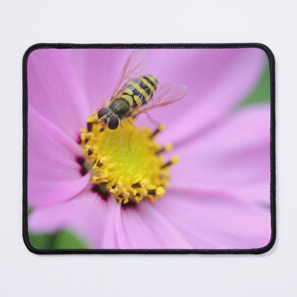 Item preview, Hoverfly on Cosmos designed and sold by ASTRID EWING.