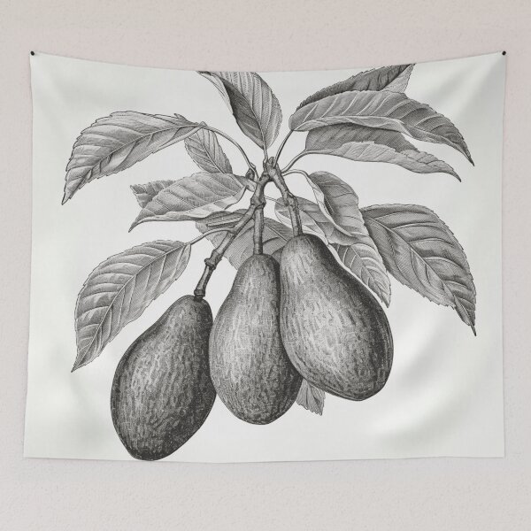 Item preview, Un boceto botánico vintage de un aguacate designed and sold by Sketch-Shack.