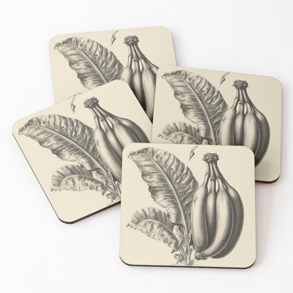 Item preview, Un boceto botánico vintage de un plátano designed and sold by Sketch-Shack.