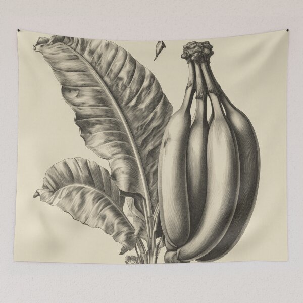 Item preview, Un boceto botánico vintage de un plátano designed and sold by Sketch-Shack.