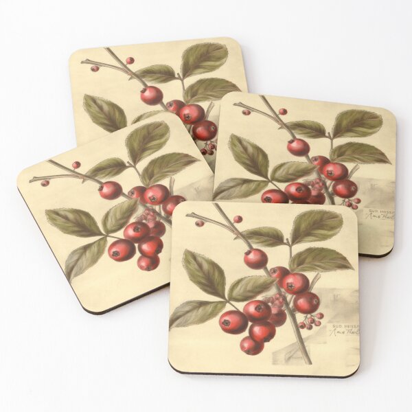 Item preview, A Vintage Botanical Sketch of a Cranberry designed and sold by Sketch-Shack.