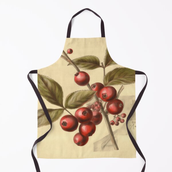Item preview, A Vintage Botanical Sketch of a Cranberry designed and sold by Sketch-Shack.