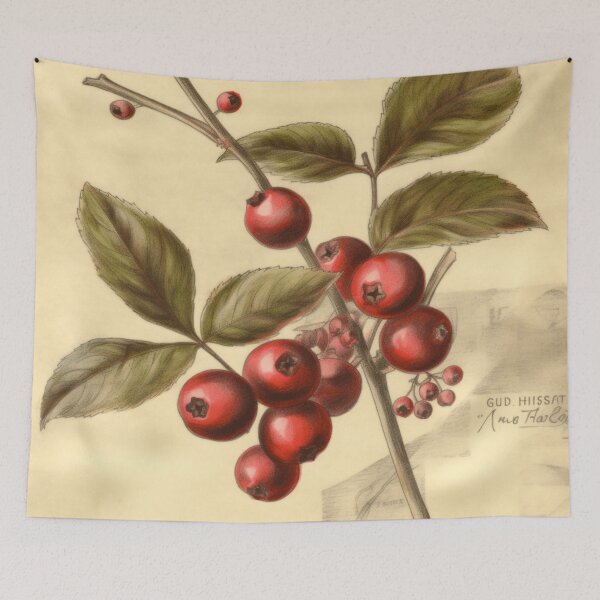 Item preview, A Vintage Botanical Sketch of a Cranberry designed and sold by Sketch-Shack.