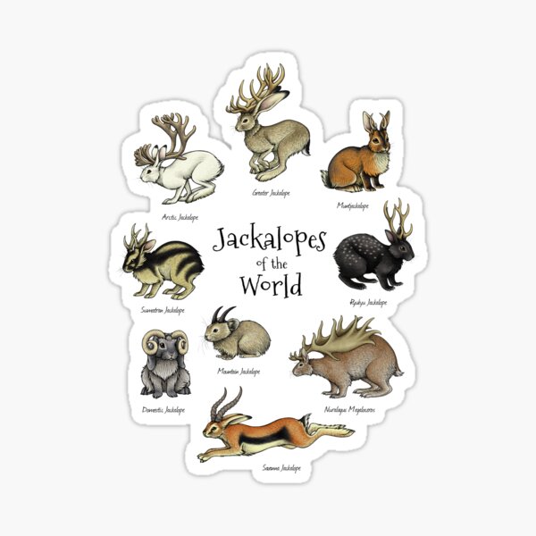 Jackalopes of the World Sticker
