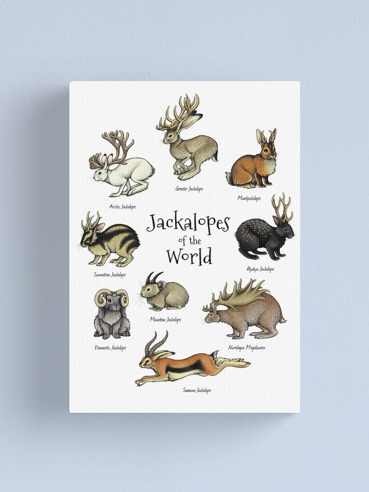 Alternate view of Jackalopes of the World Canvas Print