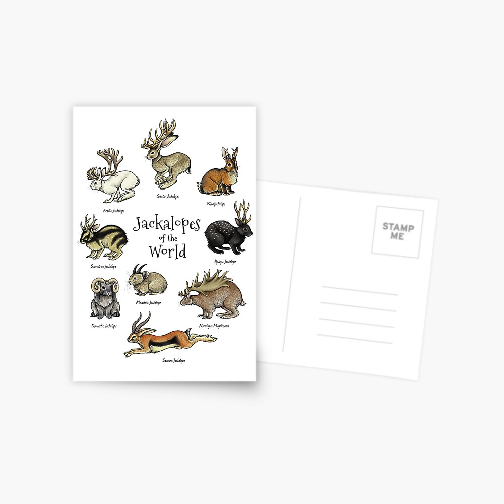 Jackalopes of the World Postcard