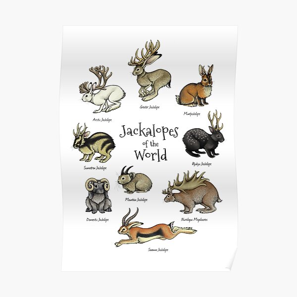 Jackalopes of the World Poster