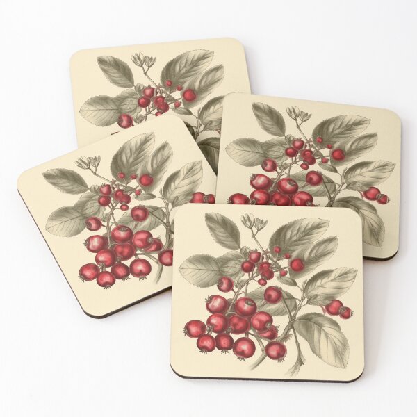 Item preview, A Vintage Botanical Sketch of a Cranberry designed and sold by Sketch-Shack.