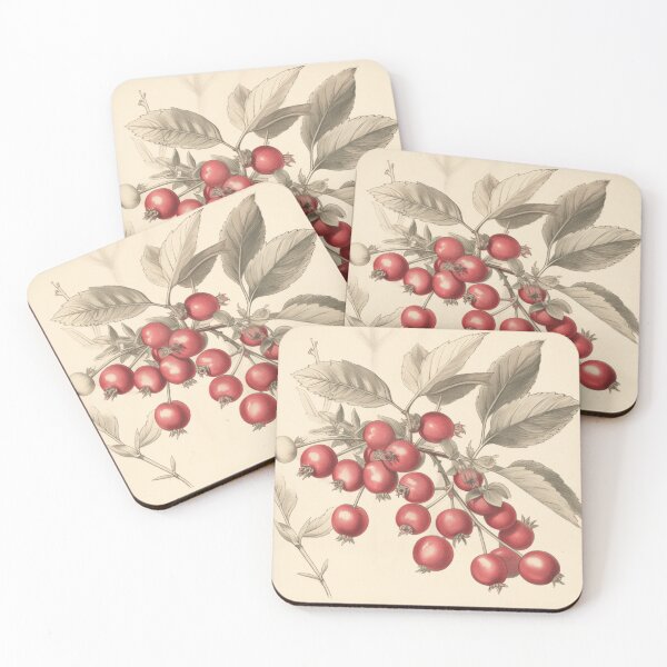 Item preview, A Vintage Botanical Sketch of a Cranberry designed and sold by Sketch-Shack.