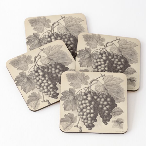 Item preview, Un boceto botánico vintage de uvas designed and sold by Sketch-Shack.