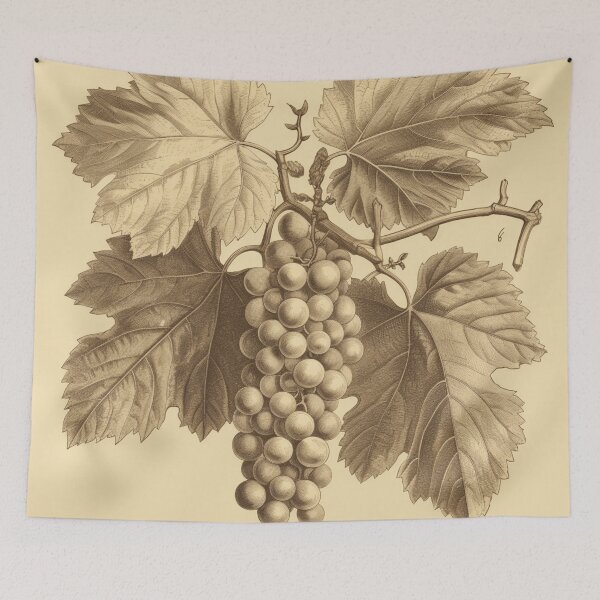 Item preview, Un boceto botánico vintage de uvas designed and sold by Sketch-Shack.