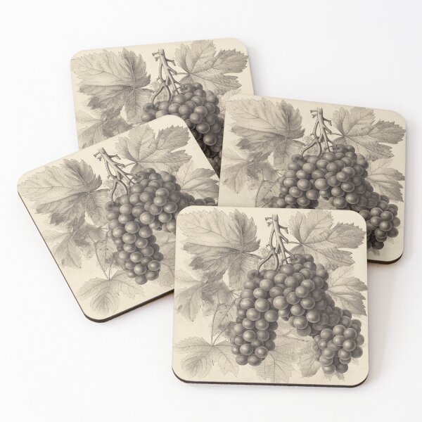 Item preview, Un boceto botánico vintage de uvas designed and sold by Sketch-Shack.