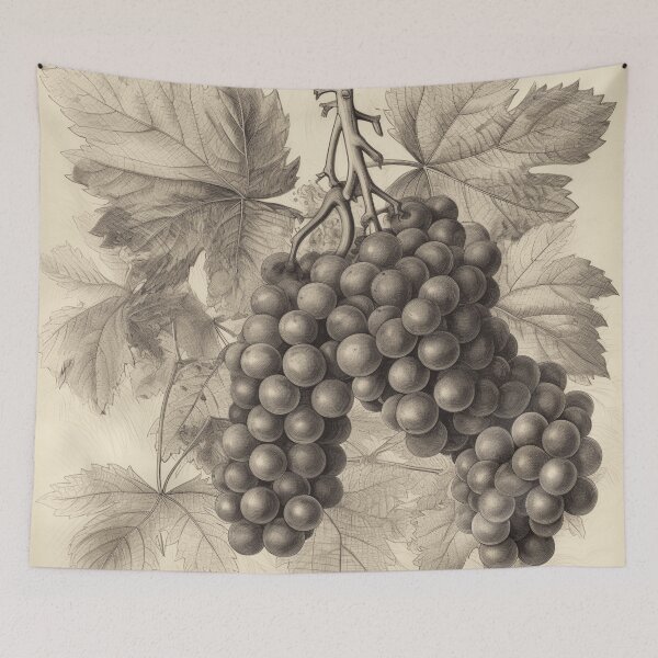 Item preview, Un boceto botánico vintage de uvas designed and sold by Sketch-Shack.
