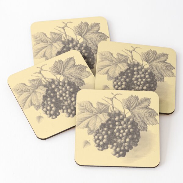 Item preview, Un boceto botánico vintage de uvas designed and sold by Sketch-Shack.