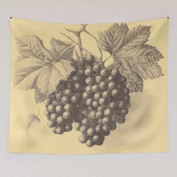 Item preview, Un boceto botánico vintage de uvas designed and sold by Sketch-Shack.