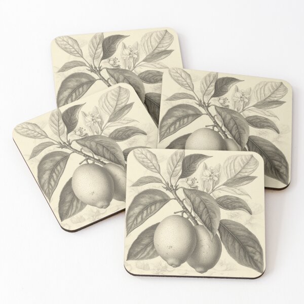 Item preview, A Vintage Botanical Sketch of Lemons designed and sold by Sketch-Shack.