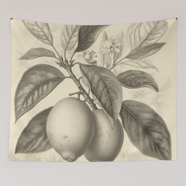 Item preview, A Vintage Botanical Sketch of Lemons designed and sold by Sketch-Shack.