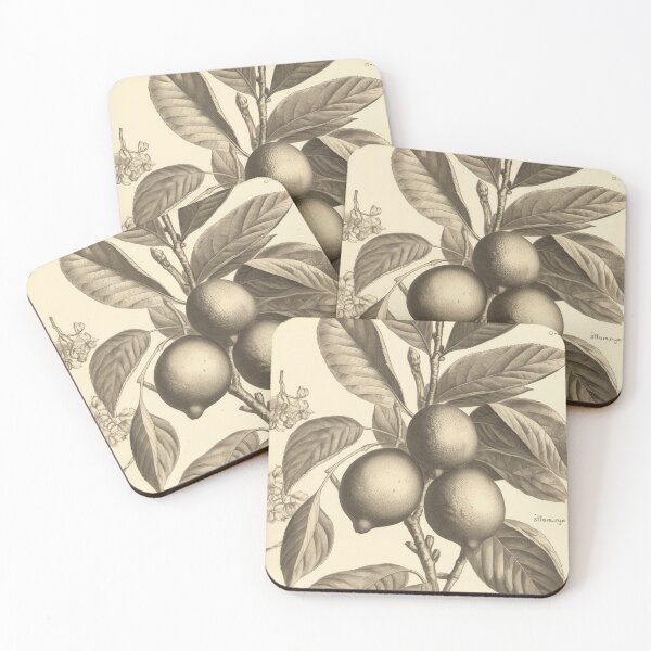 Item preview, A Vintage Botanical Sketch of Lemons designed and sold by Sketch-Shack.