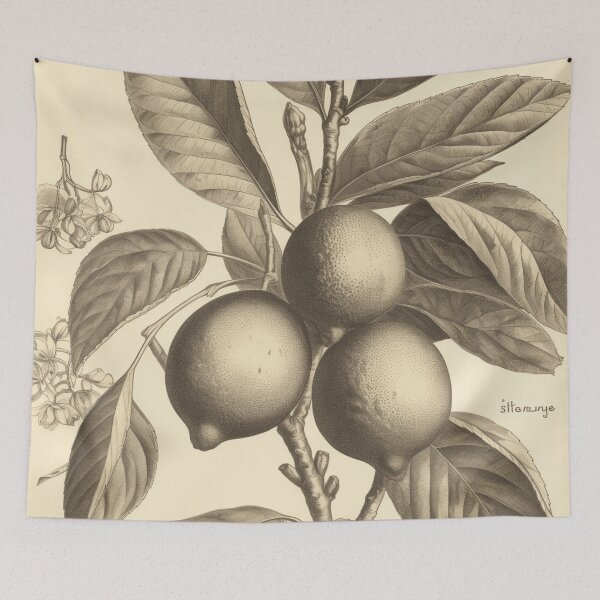 Item preview, A Vintage Botanical Sketch of Lemons designed and sold by Sketch-Shack.