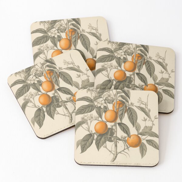 Item preview, A Vintage Botanical Sketch of Oranges  designed and sold by Sketch-Shack.