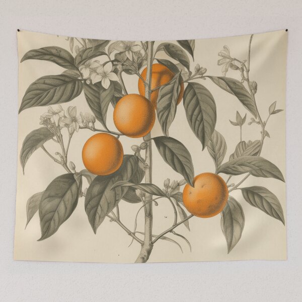Item preview, A Vintage Botanical Sketch of Oranges  designed and sold by Sketch-Shack.
